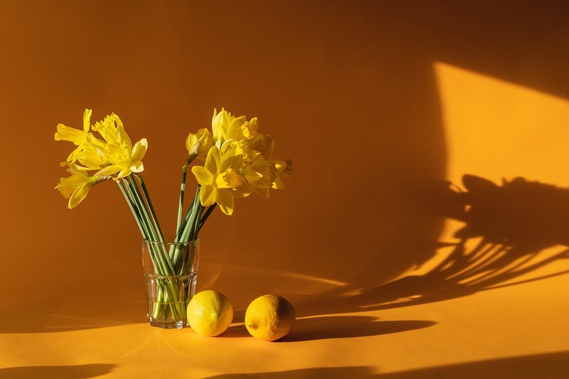 Decor